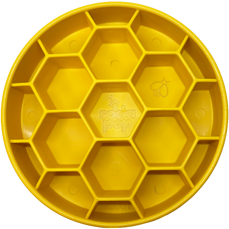 Honeycomb slow feeder dog bowl