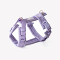 Comfort Dog Harness – Lavender