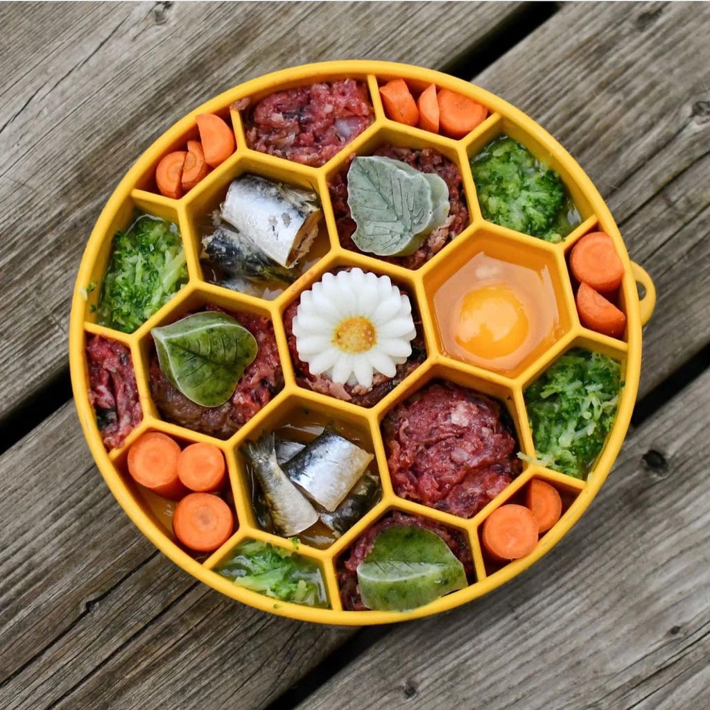 Honeycomb Slow Feeder Dog Bowl