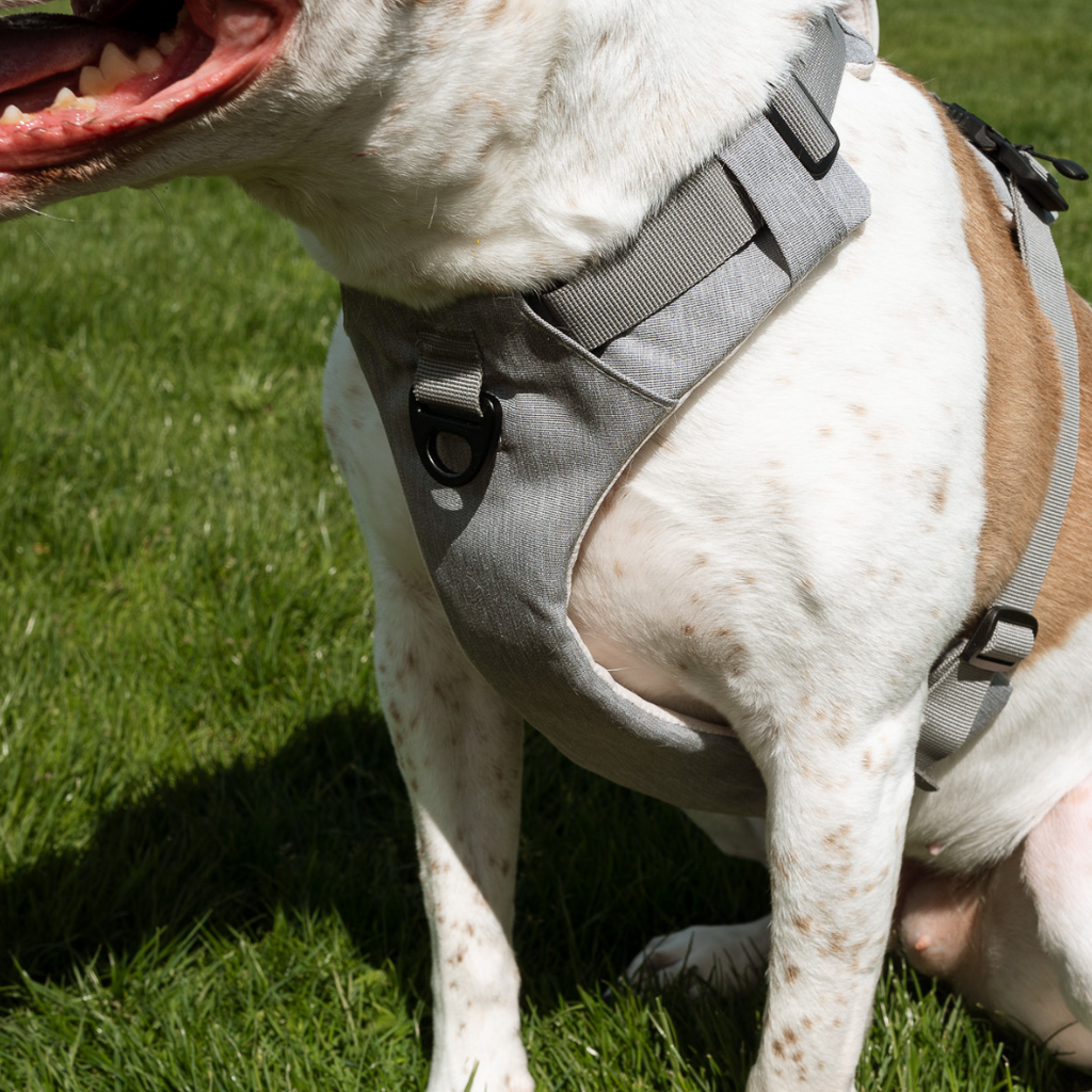 Magnetic No-Pull Dog Harness with Handle