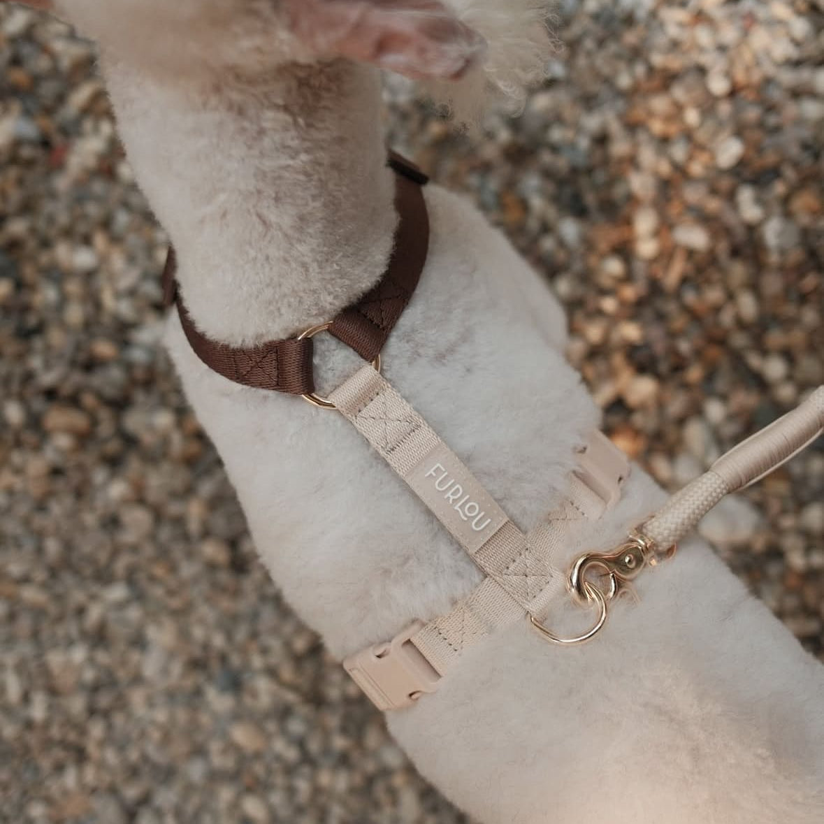 Everyday Dog Harness – Brown & Tan