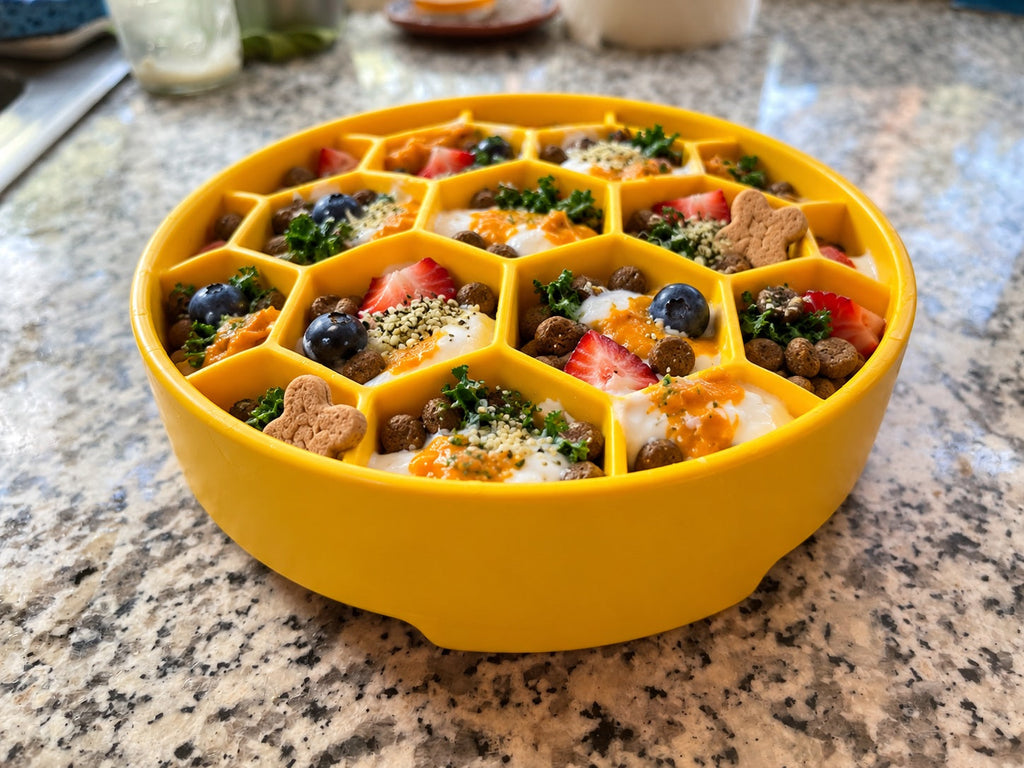 Honeycomb Slow Feeder Dog Bowl
