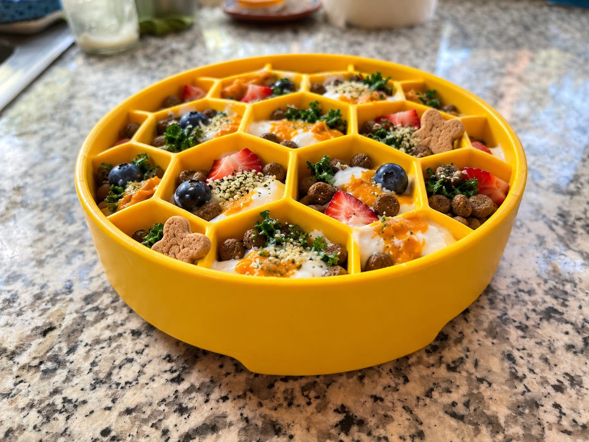 Honeycomb Slow Feeder Dog Bowl