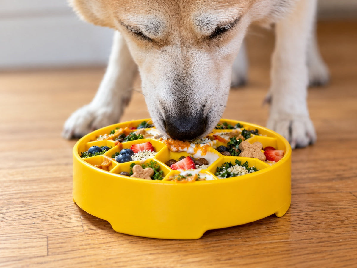 Honeycomb Slow Feeder Dog Bowl